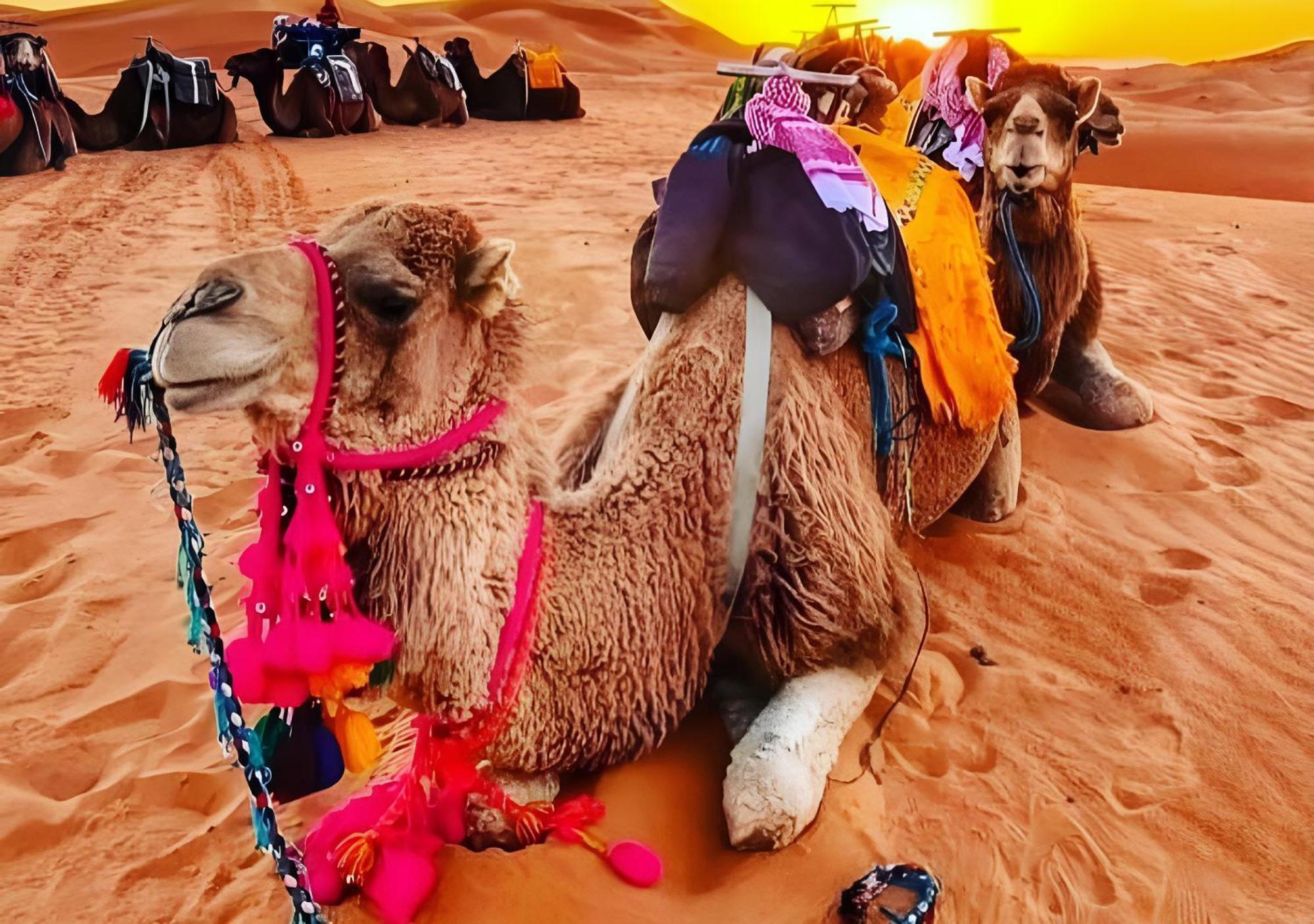 Top Desert Luxury Camp Мерзуга Екстер'єр фото